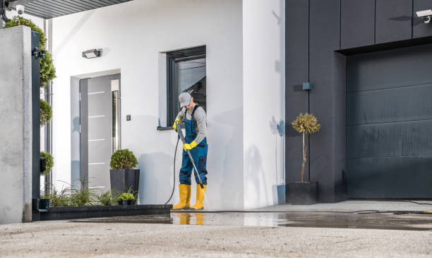 Best Graffiti Removal  in Dauphin Island, AL